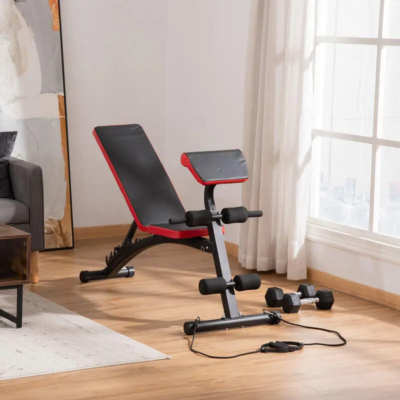 Banco De Pesas Ajustable Respaldo Inclinable HOMCOM 145x52x105cm Negro - Imagen 2