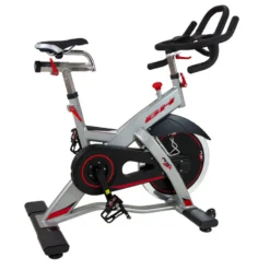 BH Fitness Bicicleta Ciclismo Indoor REX H921 Uso Profesional