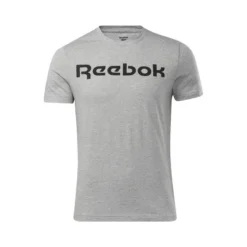 Camiseta Manga Corta Algodón Hombre Reebok Graphic Series Linear Logo Gris