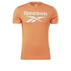 Camiseta Reebok Identity Big Logo