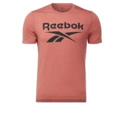 Reebok Camiseta Workout Ready Supremium Graphic