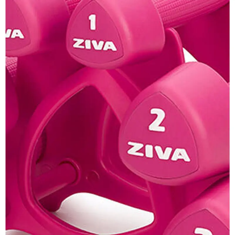 Kit Mancuernas Estudio ZIVA Chic Con Soporte 12 Kg - Imagen 3
